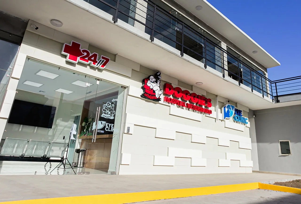 Fachada de Doggie's Hospital Veterinario, destacando su servicio disponible 24/7 en Monterrey. En la foto también se puede ver a su aliado Eye Clinic